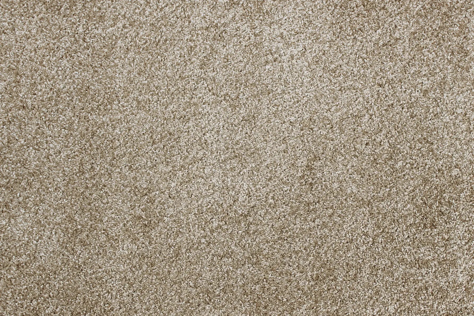 Sensation carpet in Wonderment