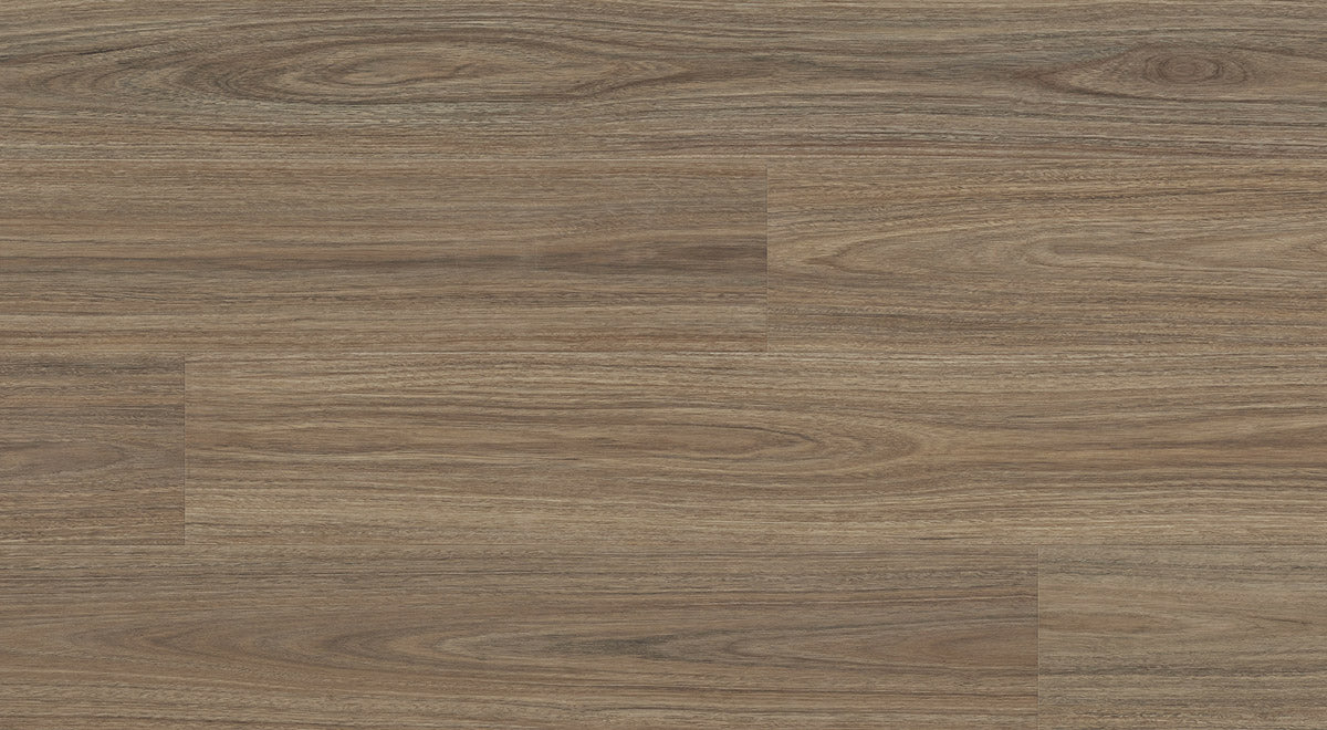Enchanted Hybrid 7.5mm - Titania Spotted Gum – room scene 2