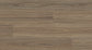 Enchanted Hybrid 7.5mm - Titania Spotted Gum – room scene 2