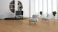 Scenic Hybrid 10mm - Mosswood Spotted Gum – room scene 1