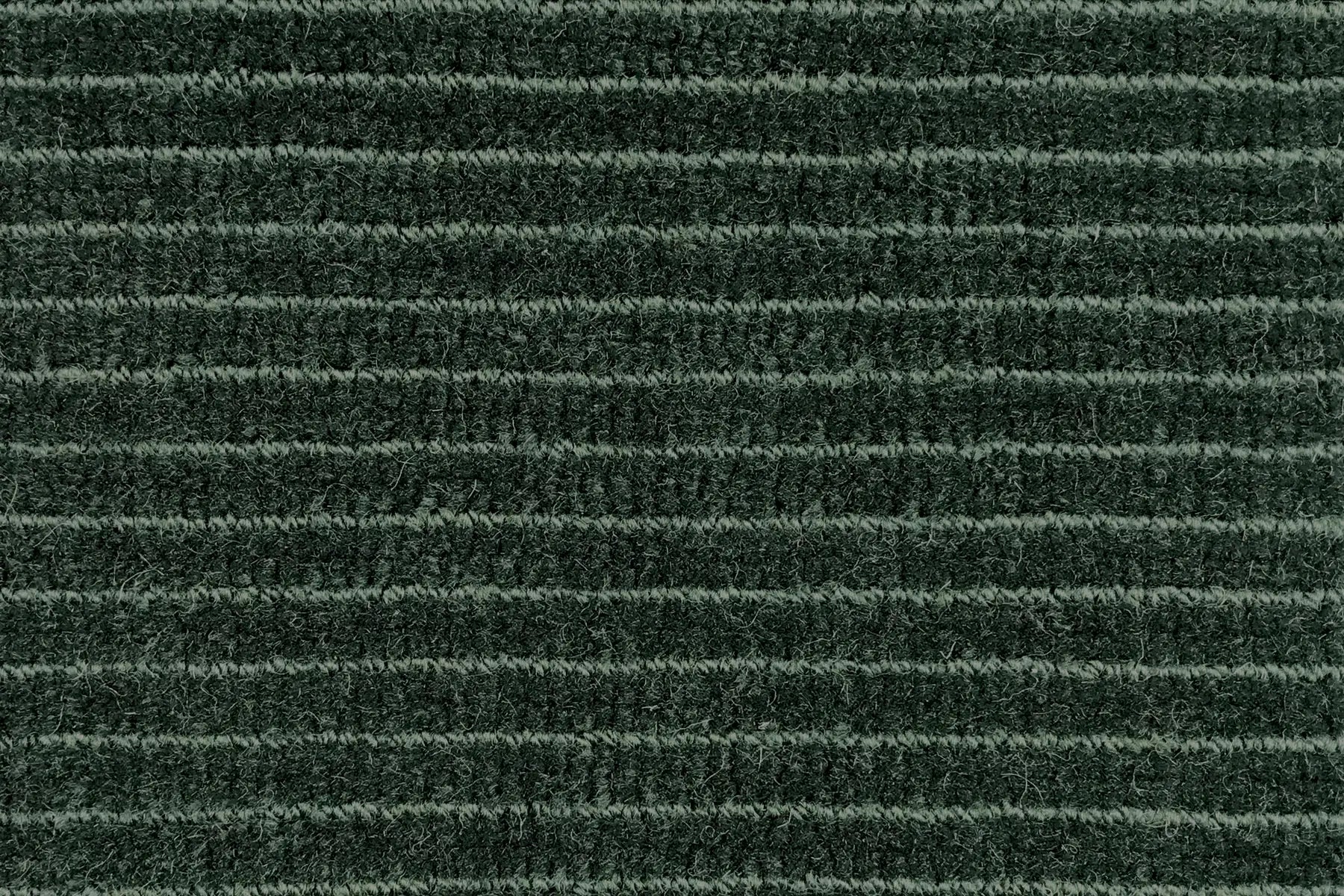 Era carpet in Year