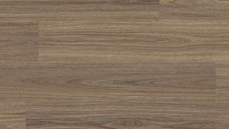 Enchanted Hybrid 7.5mm - Titania Spotted Gum – swatch