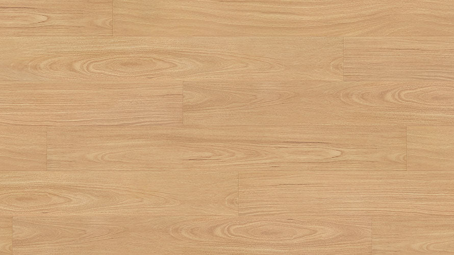 Merit Laminate 12mm - Crimson Ruby Blackbutt – swatch
