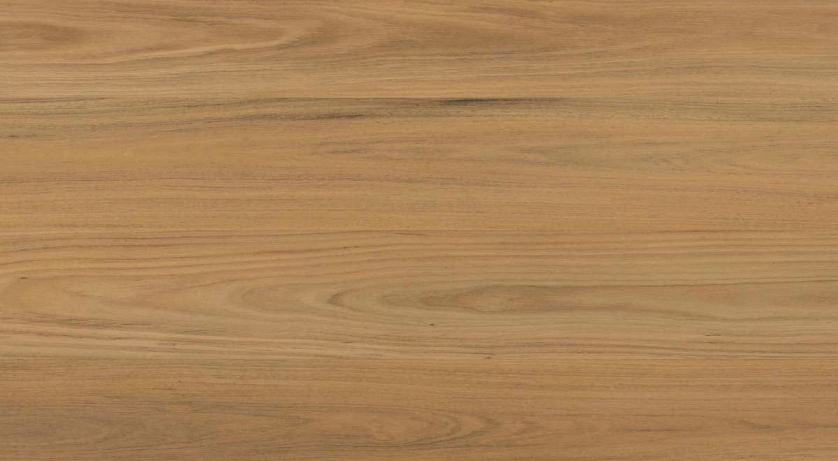 Everlast Laminate 10mm - Atlantic Blackbutt – room scene 3