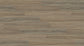 Ocean Vinyl Plank 4.5mm - Lily Spotted Gum – room scene 3