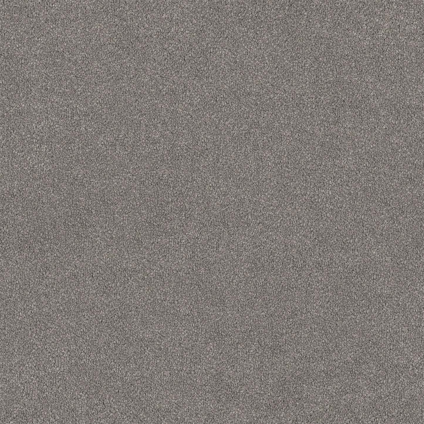 Lasting Touch carpet in Flagstone