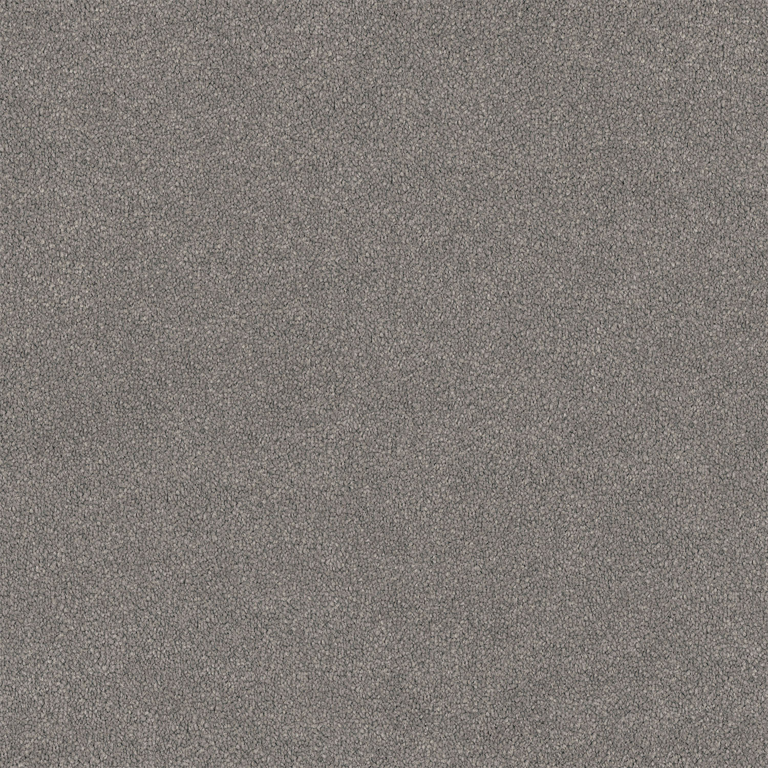Lasting Touch carpet in Flagstone