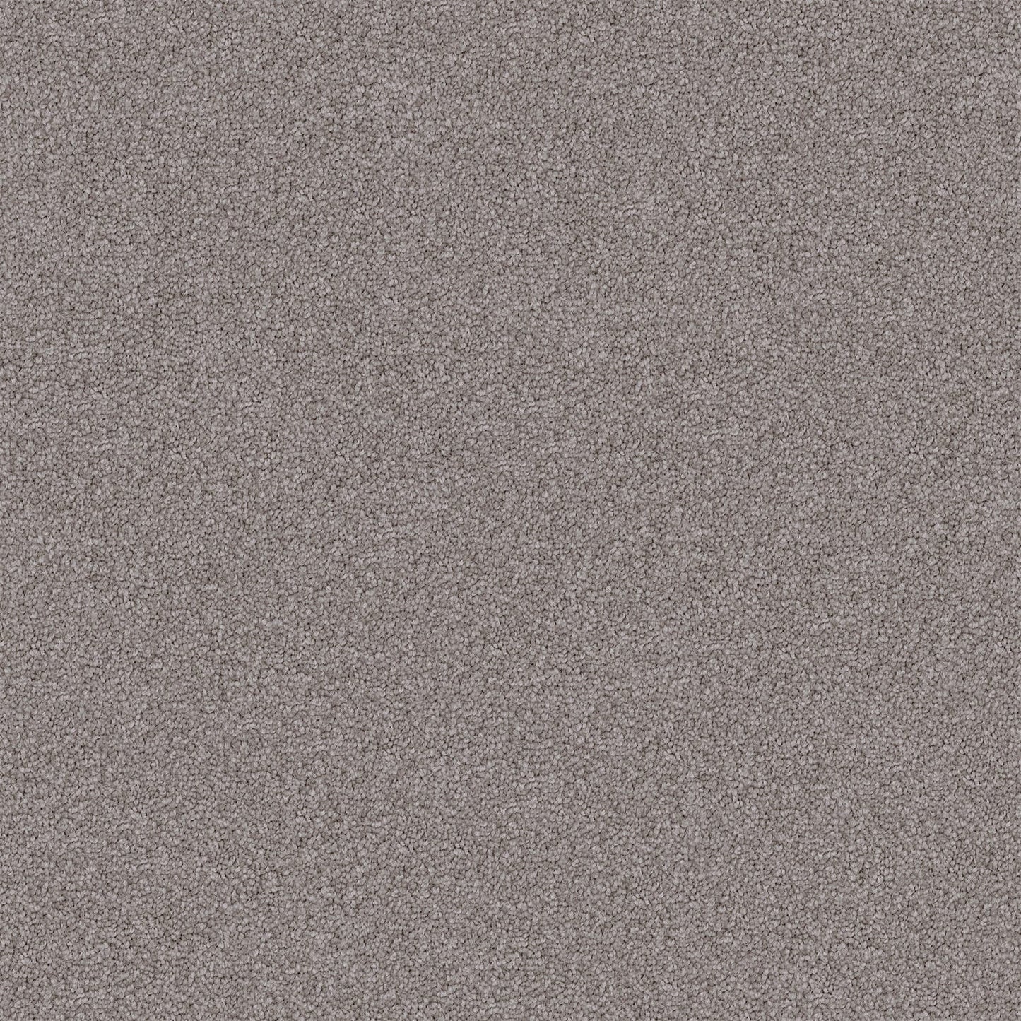 Endless Charm carpet in Temple Grey