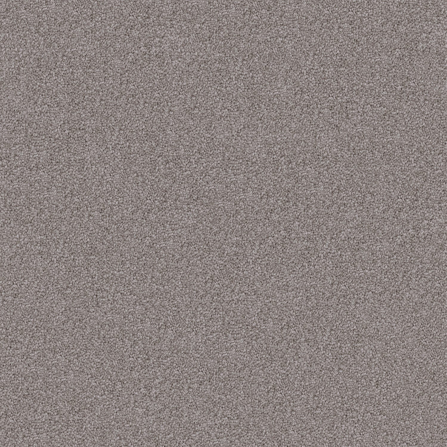 Endless Charm carpet in Temple Grey