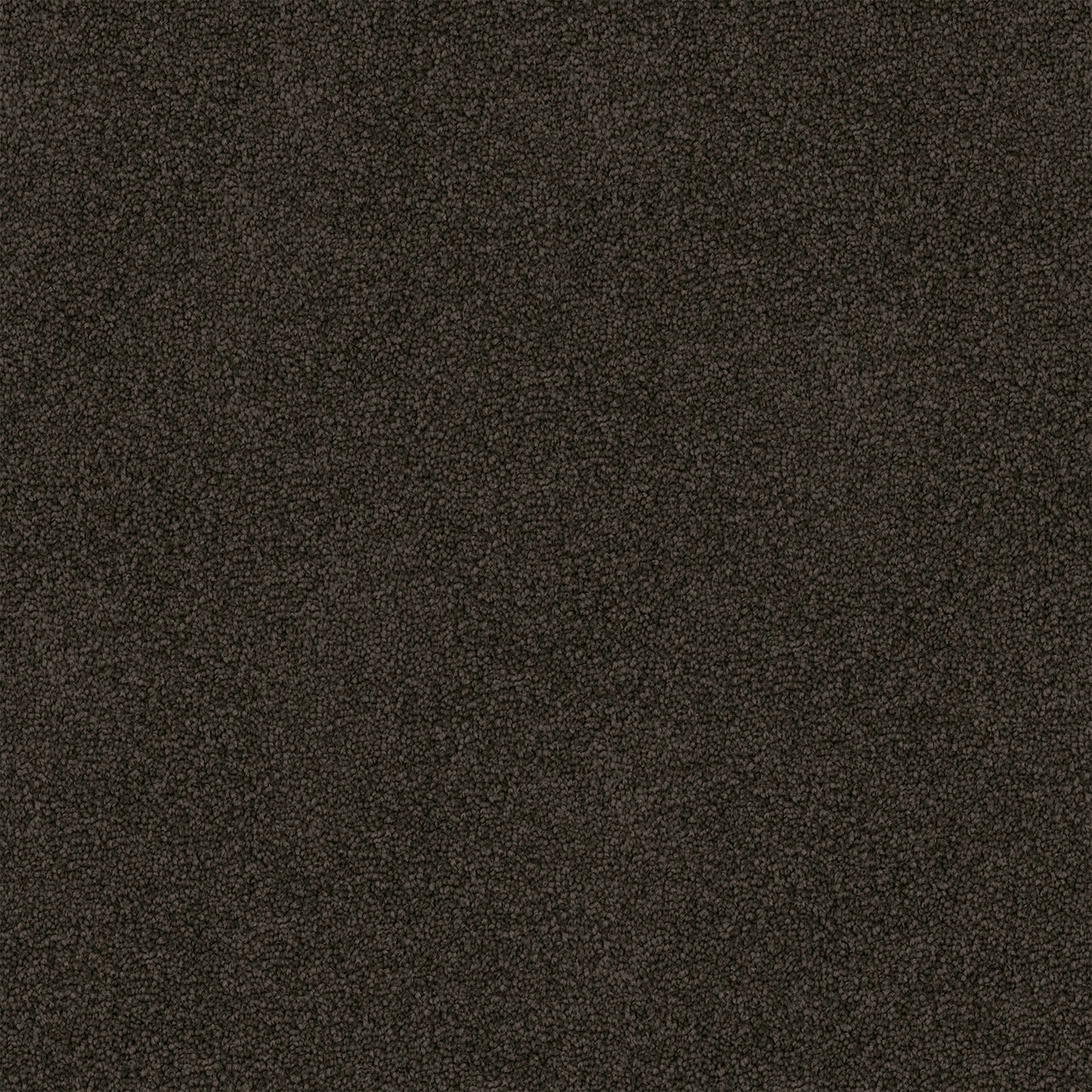 Freedom carpet in Dark Granite