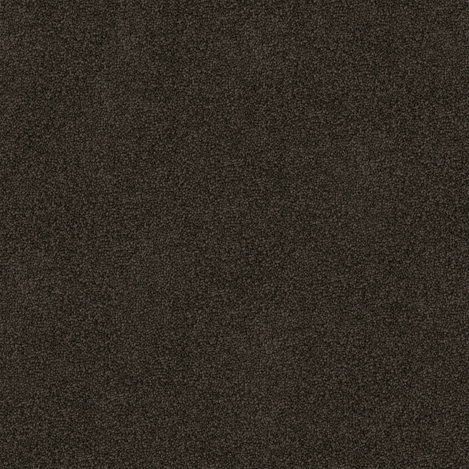 Freedom carpet in Dark Granite