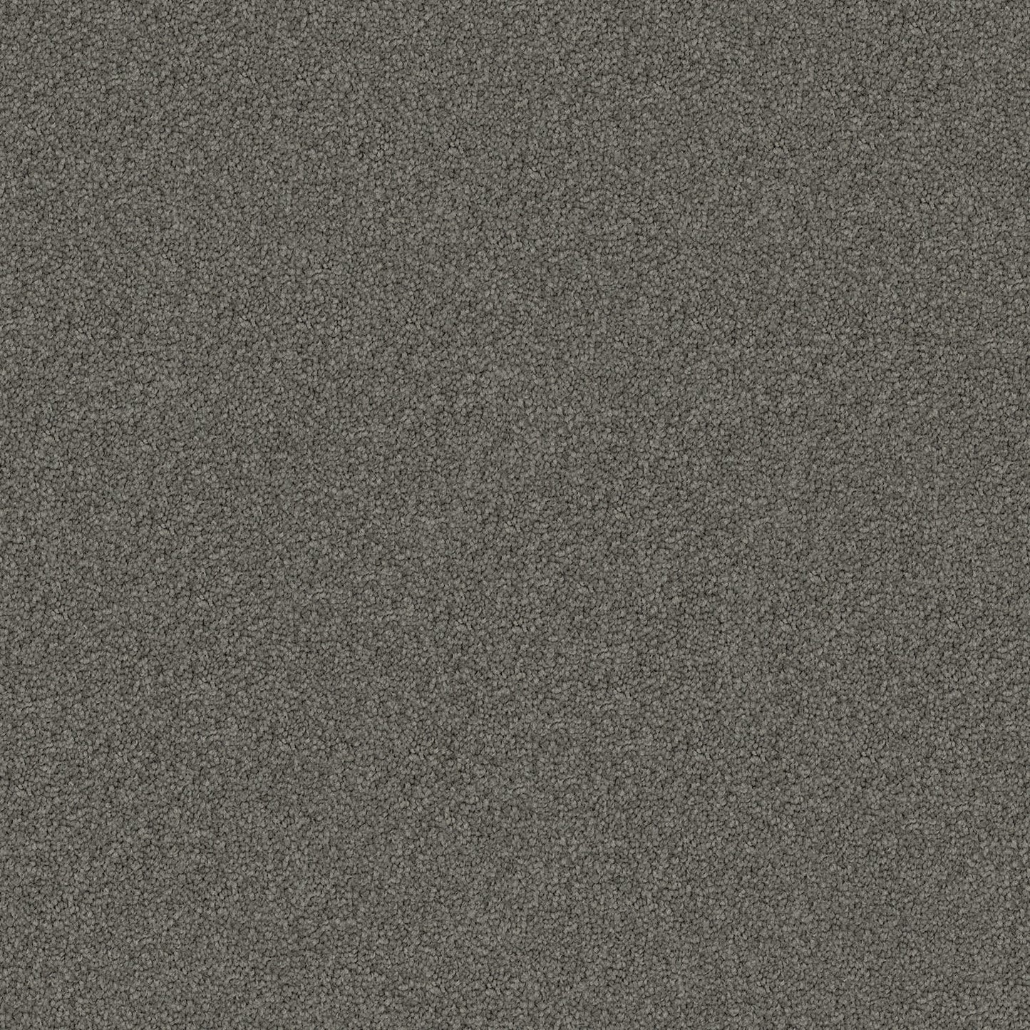Domain Rise carpet in Willowbank