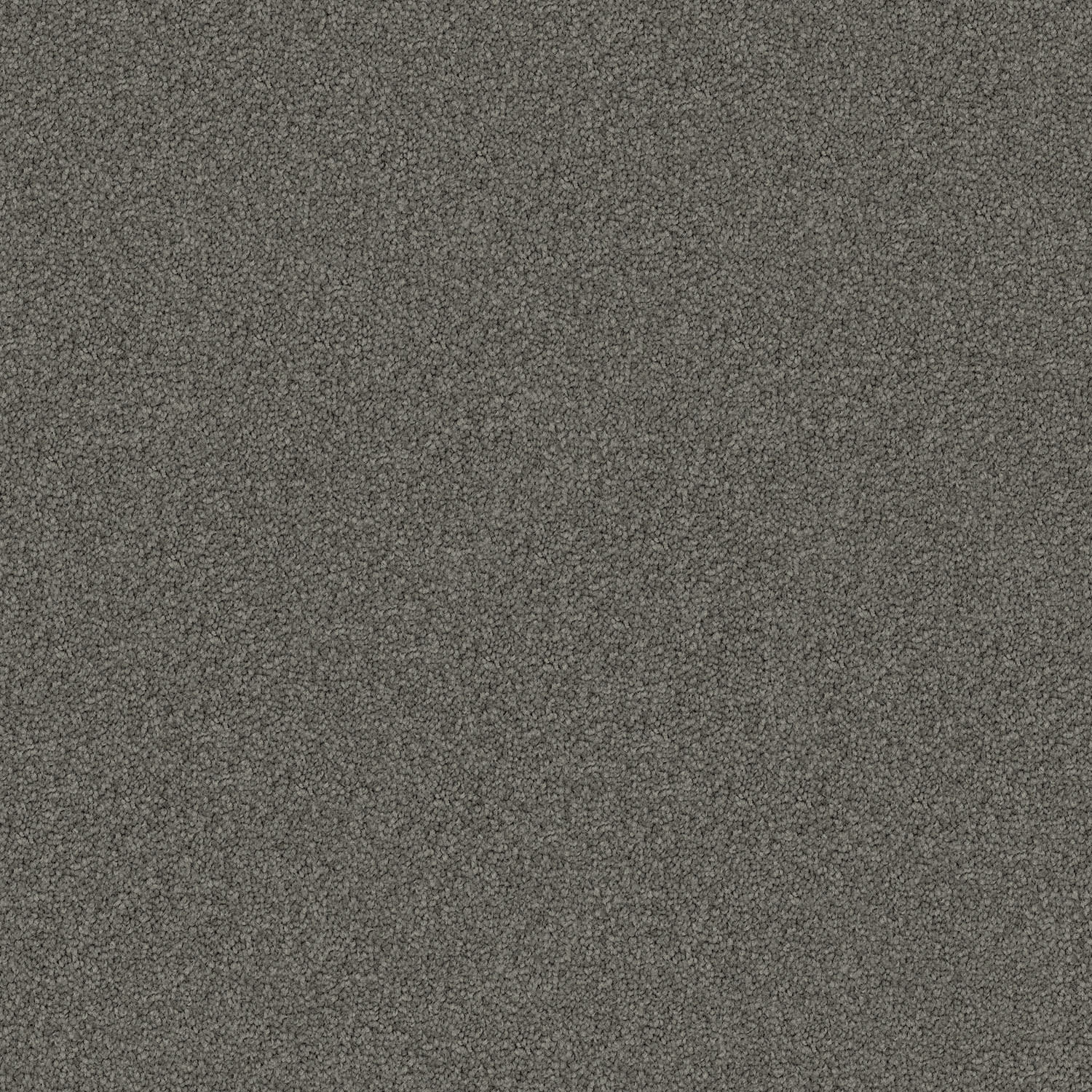 Domain Rise carpet in Willowbank