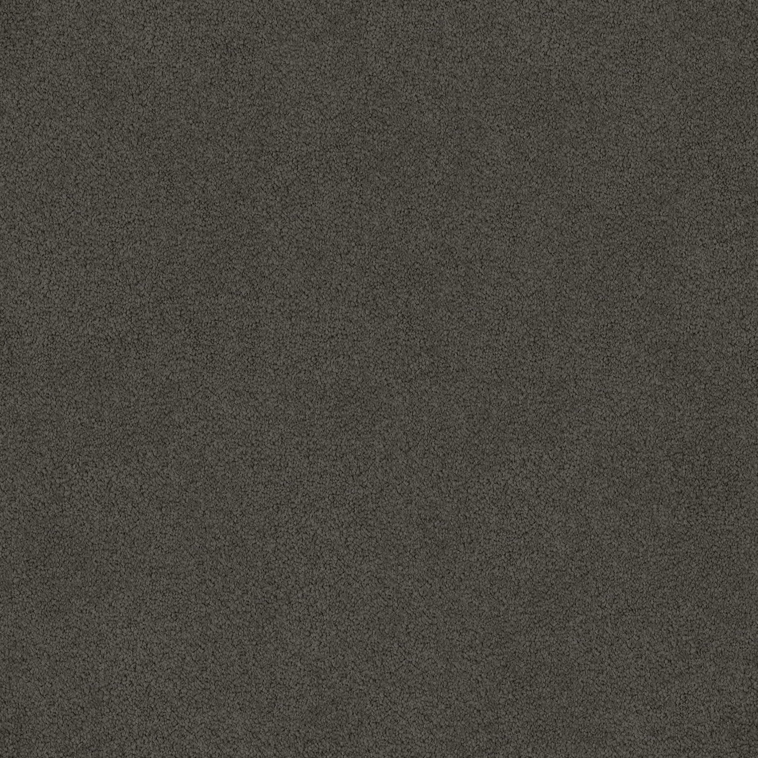Wild River carpet in Heavy Metal