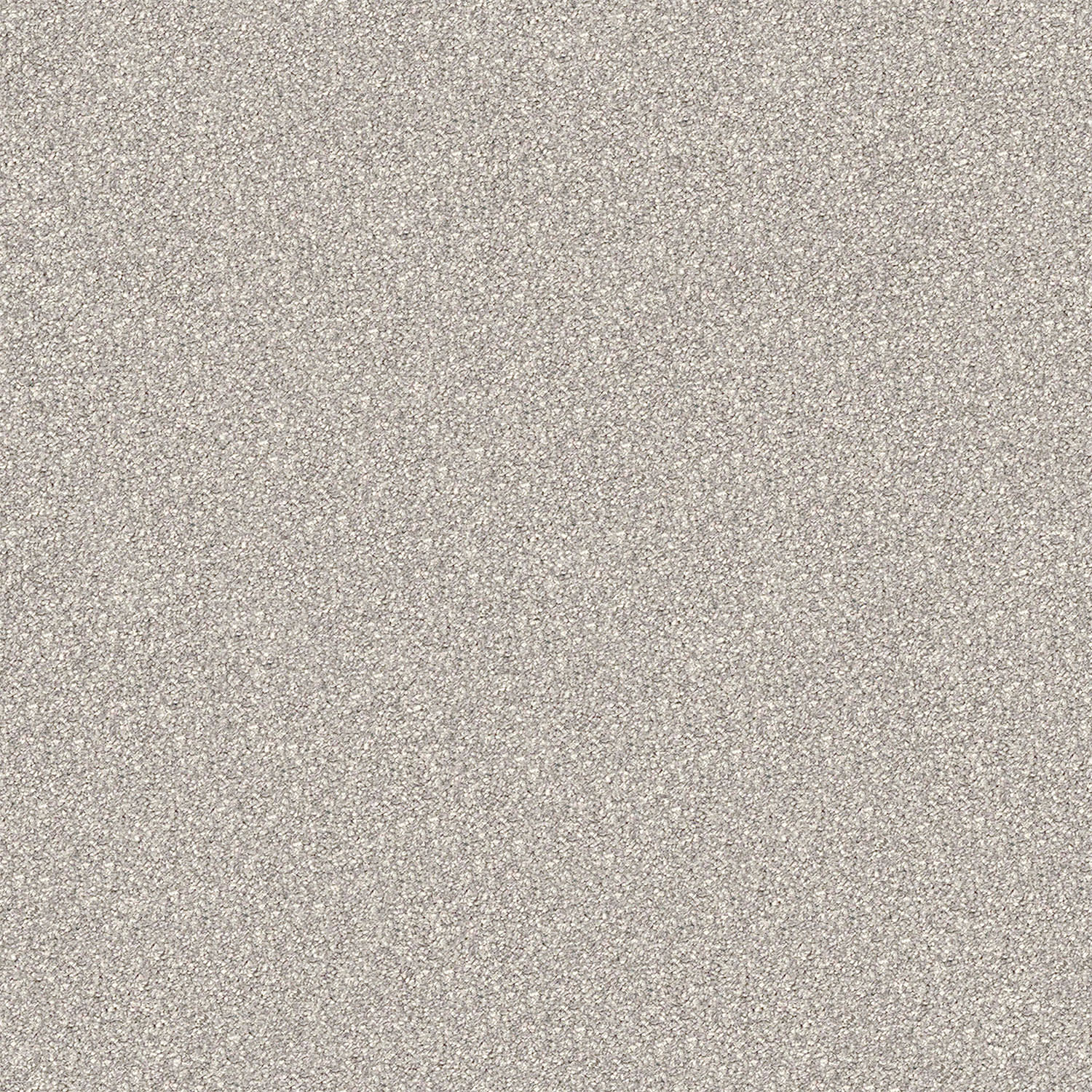 Regal Elegance carpet in Brushwood Stipple