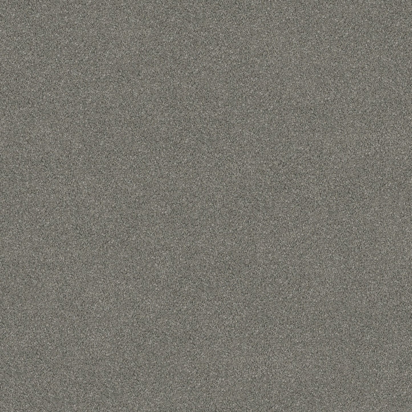 Wild River carpet in Silverstone