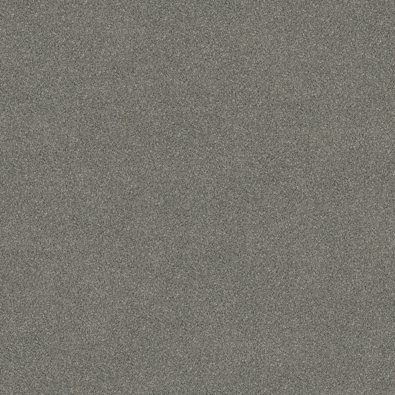 Wild River carpet in Silverstone