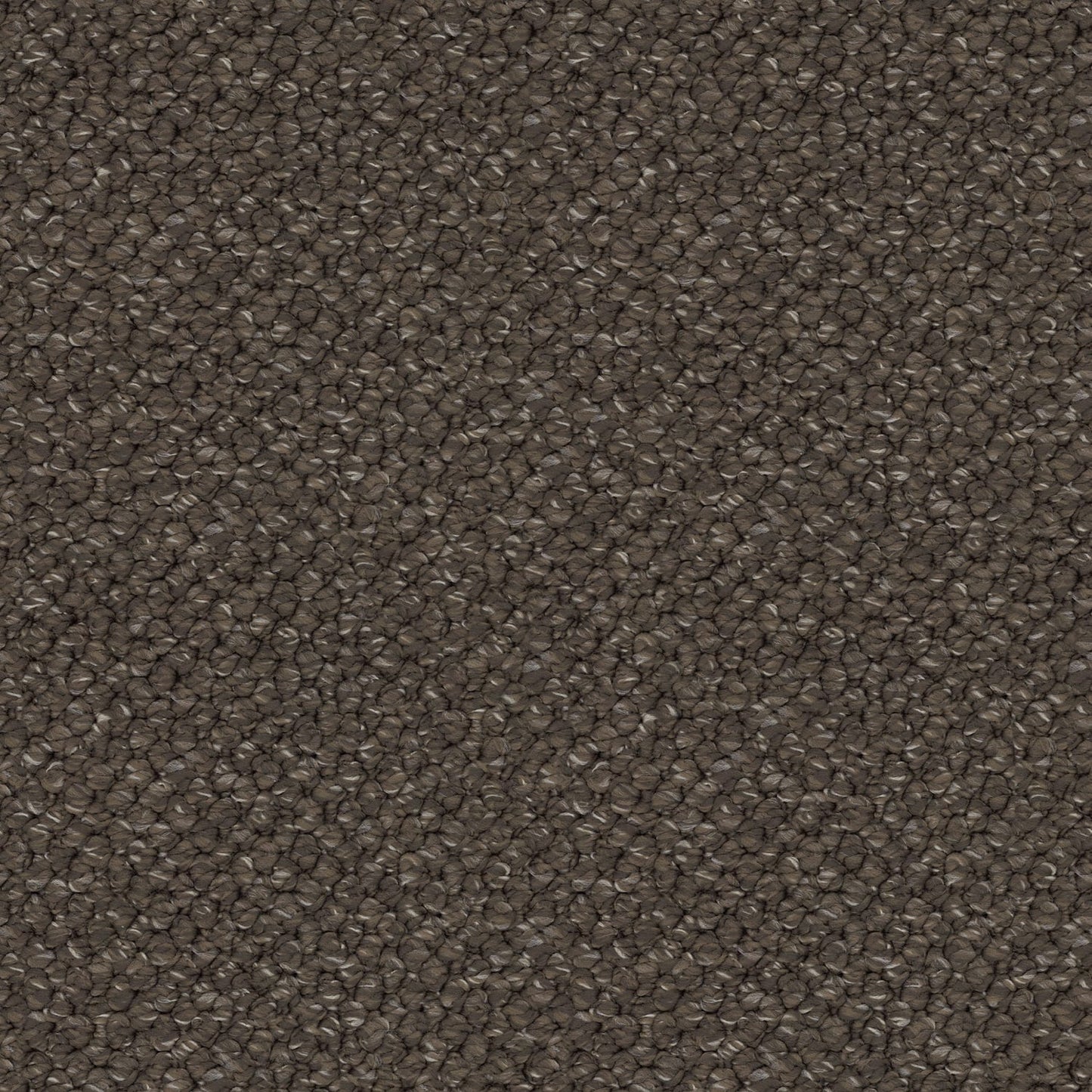Finesse carpet in Effortless