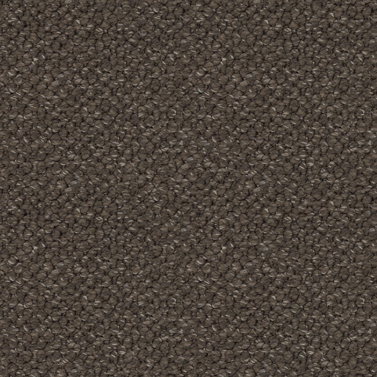 Finesse carpet in Effortless