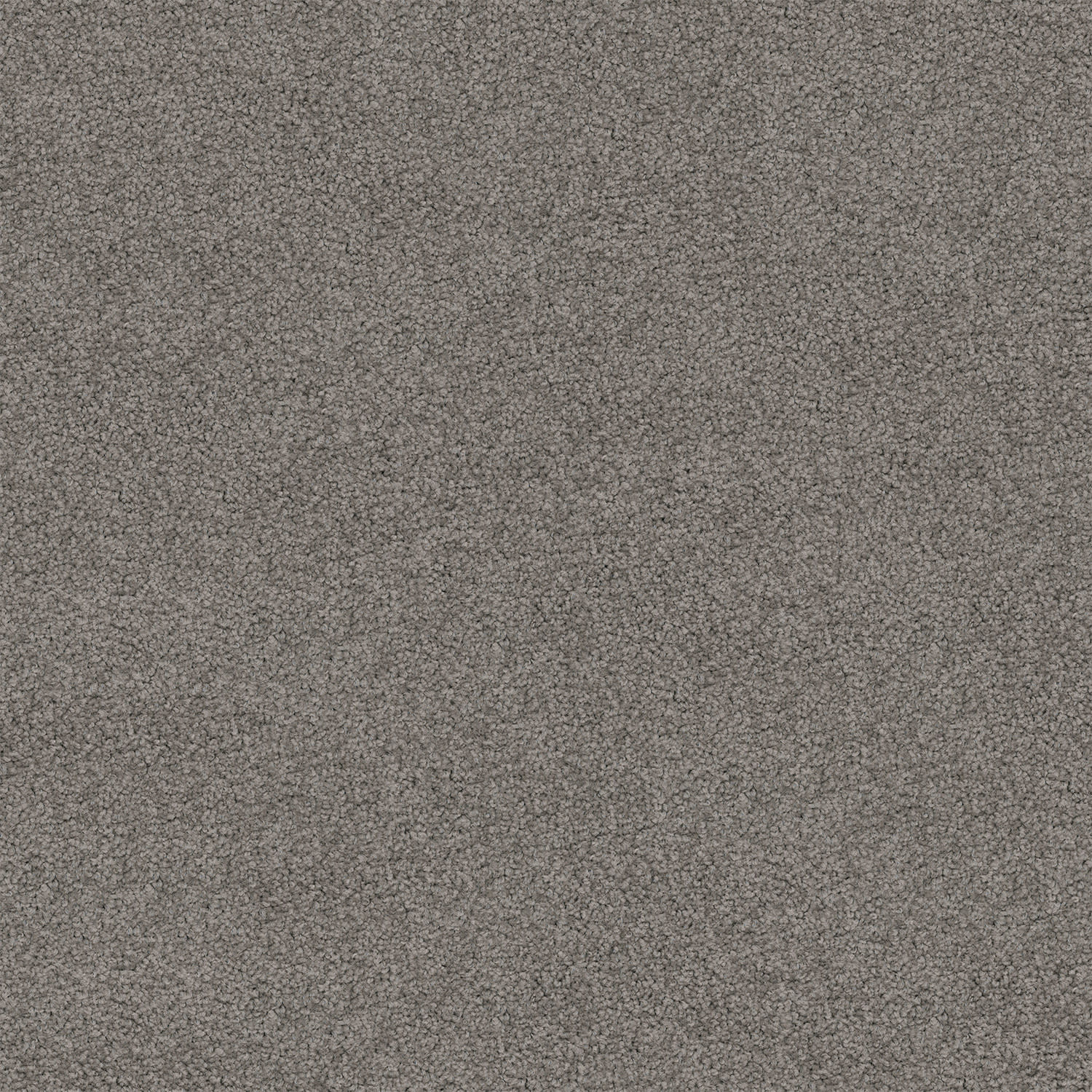 Riverina carpet in Wombat