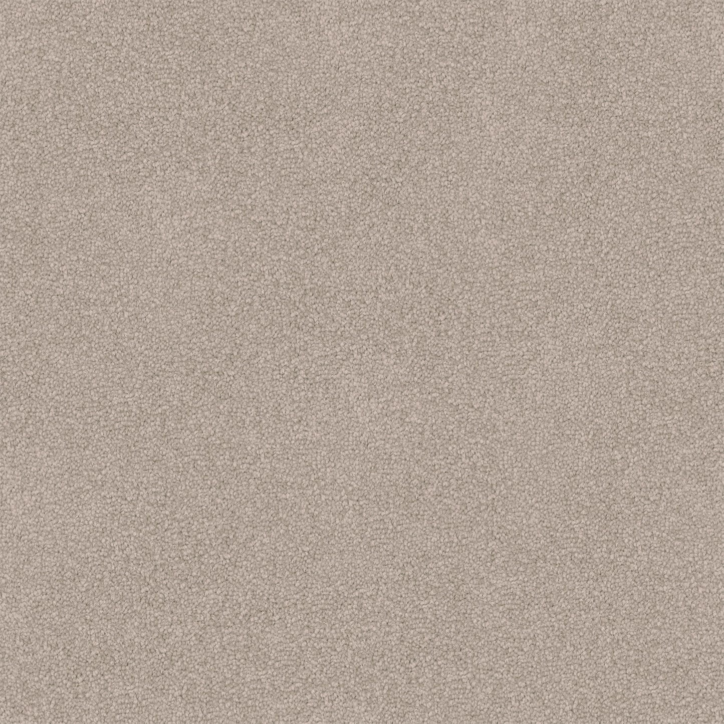 Entertaining carpet in Beige Buff