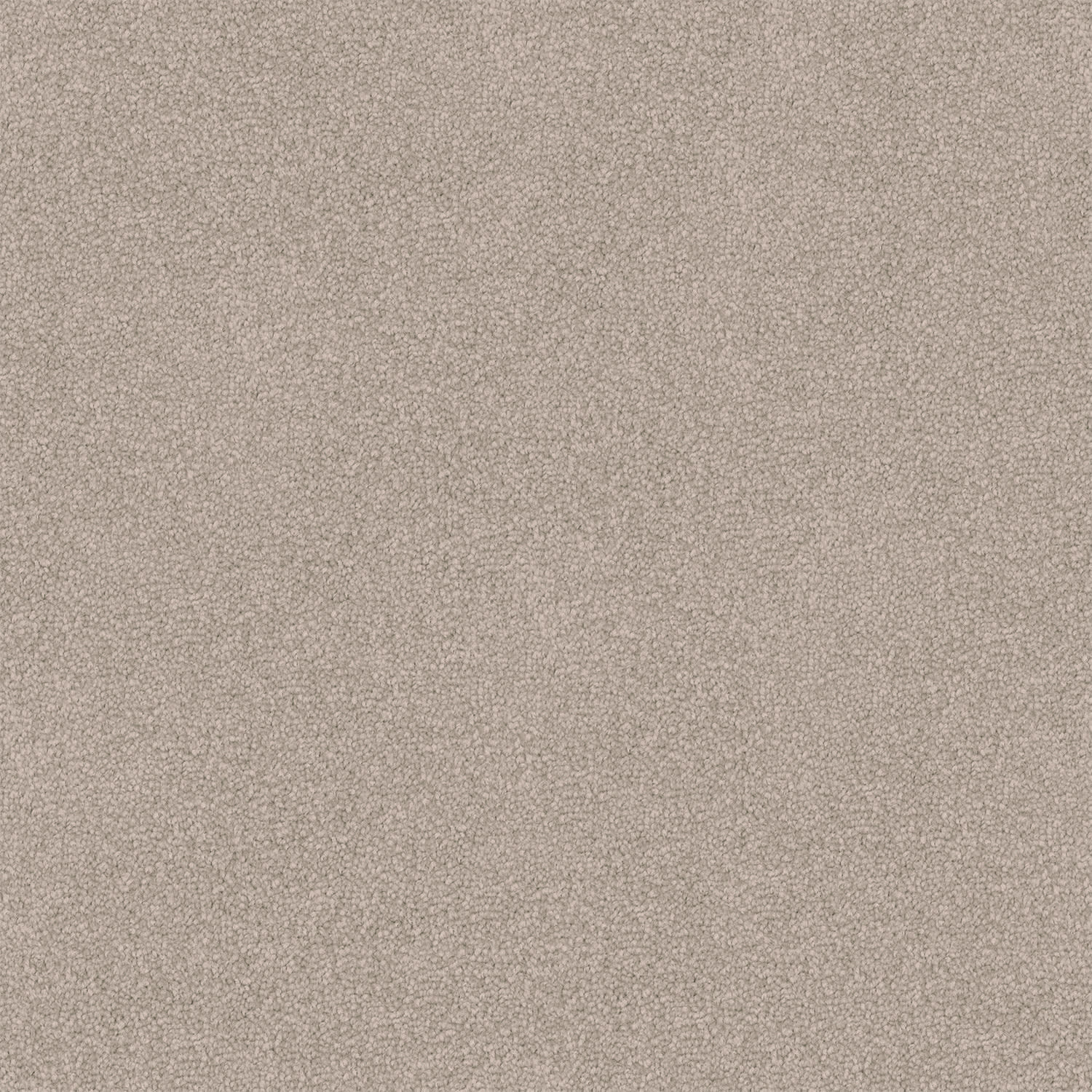 Entertaining carpet in Beige Buff