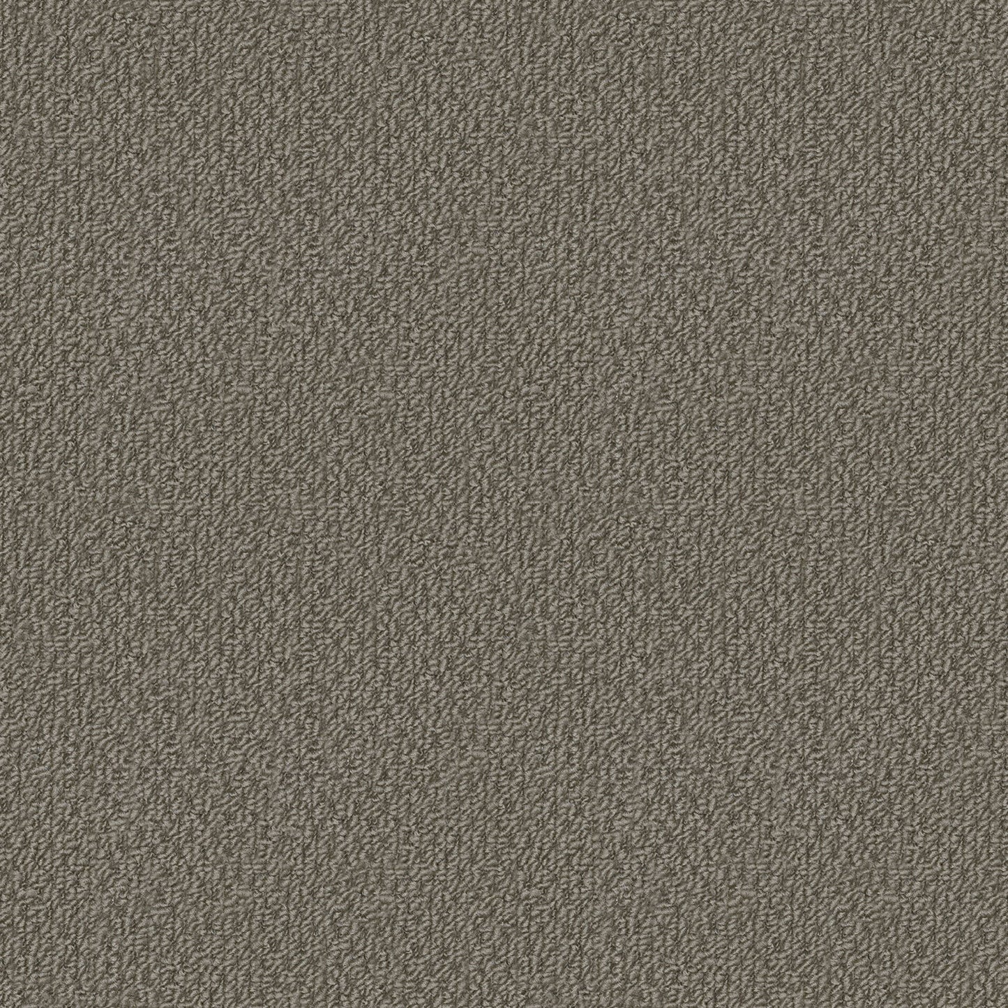 Phoenix carpet in Foothills