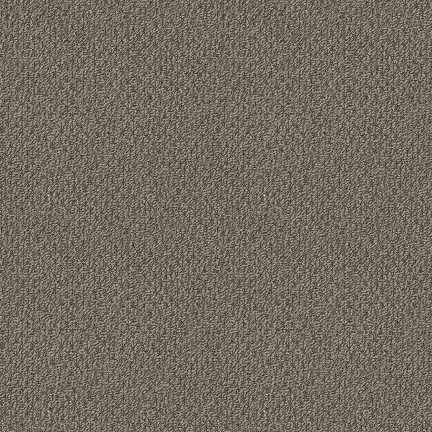 Phoenix carpet in Foothills