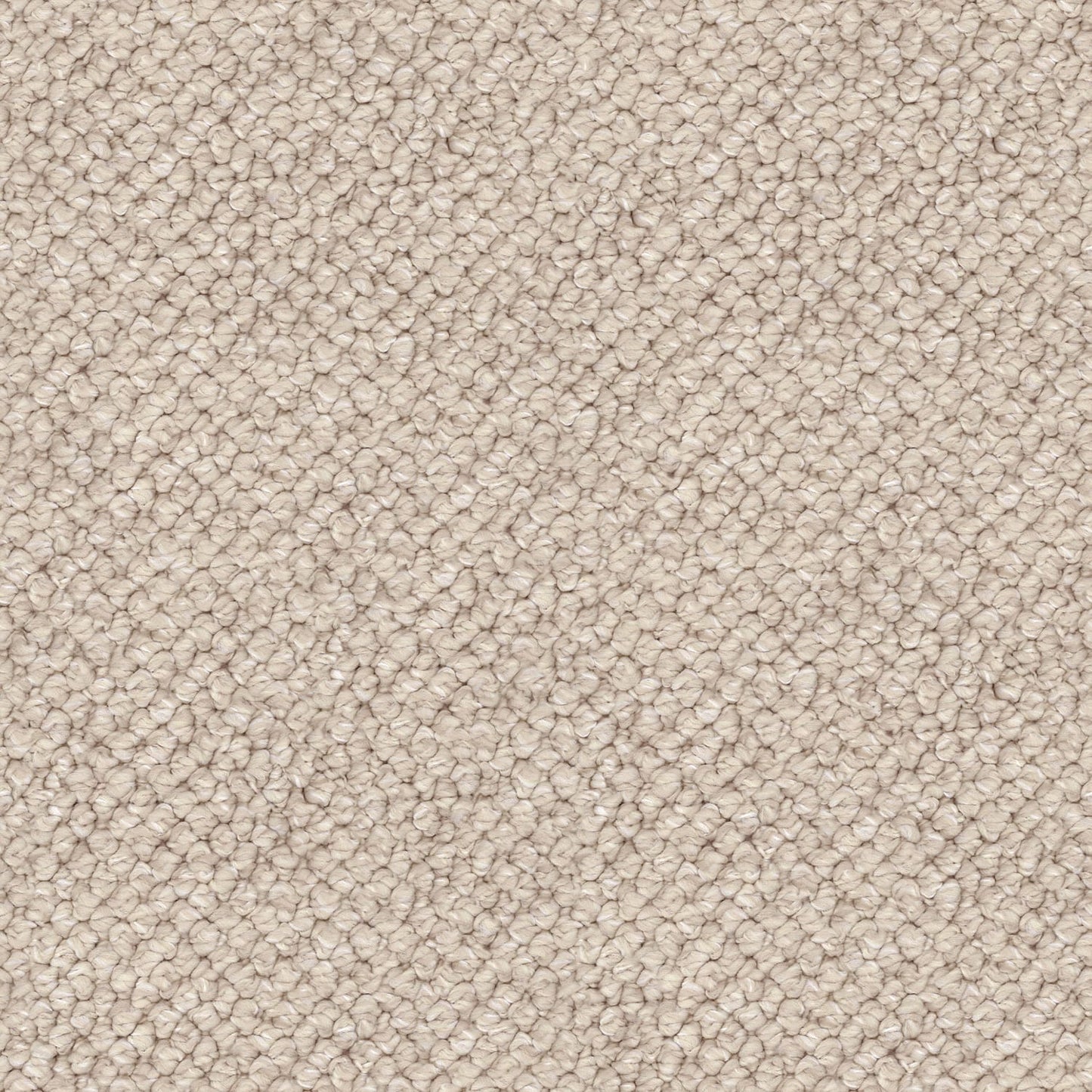 Finesse carpet in Grace