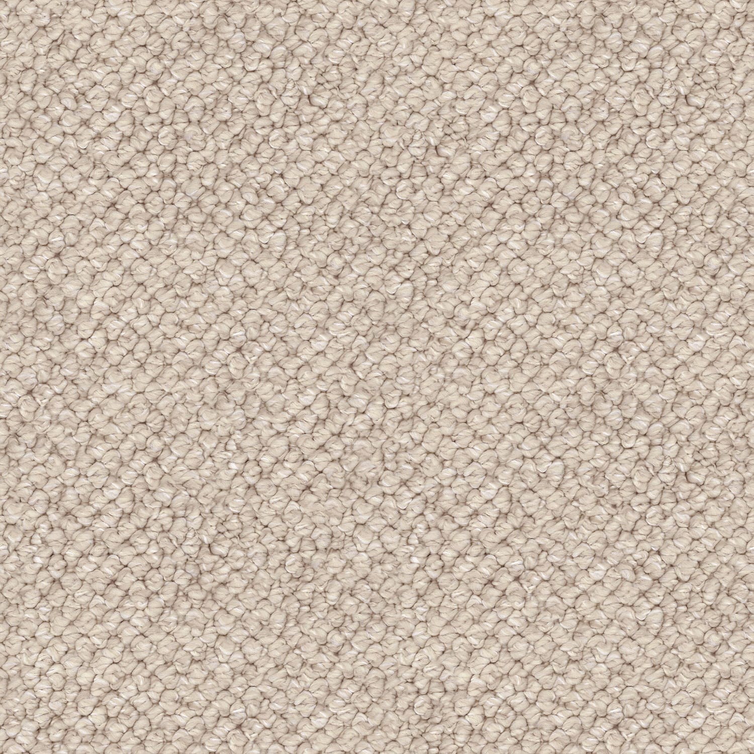 Finesse carpet in Grace