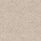 Finesse carpet in Grace