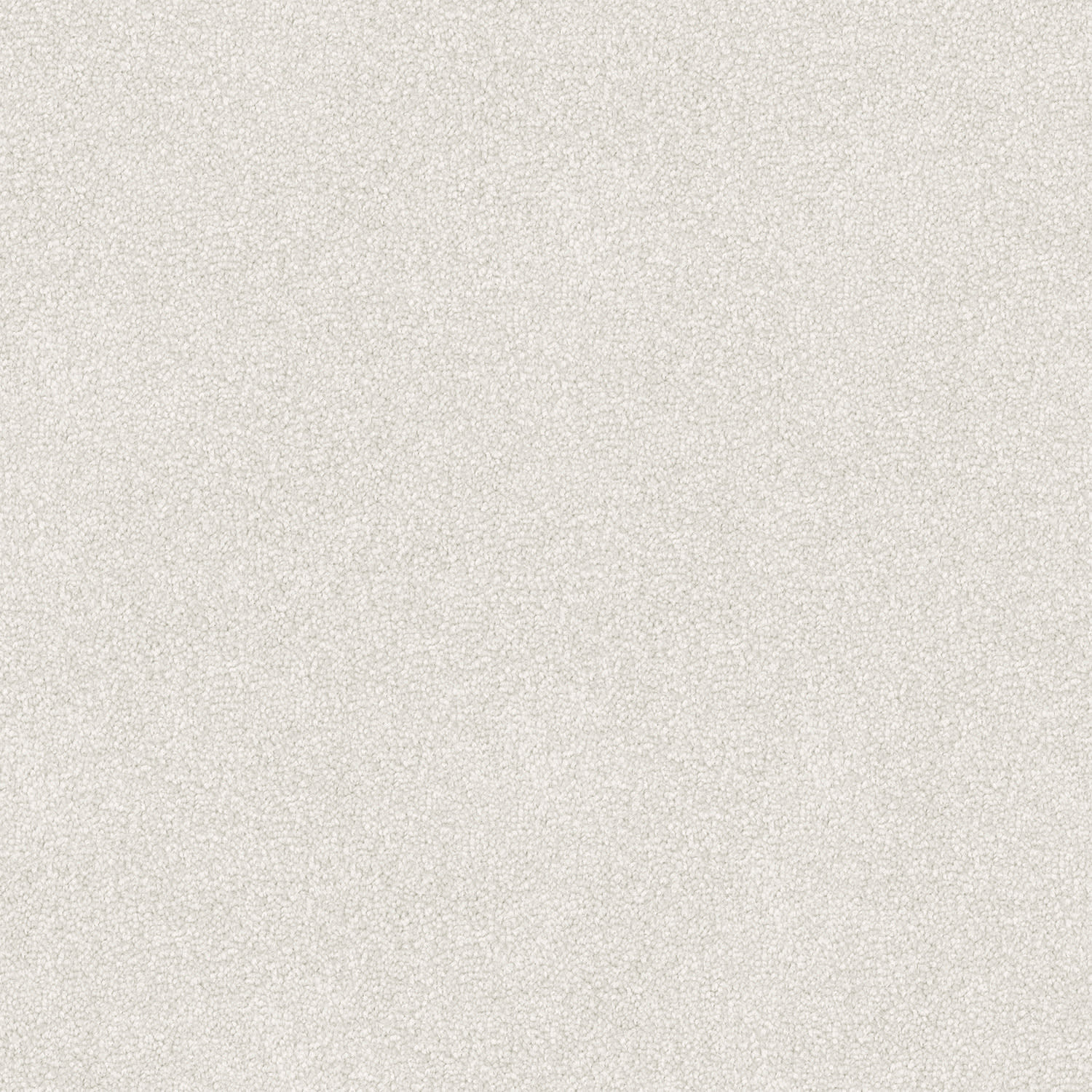 Infatuation carpet in Pale Smoke