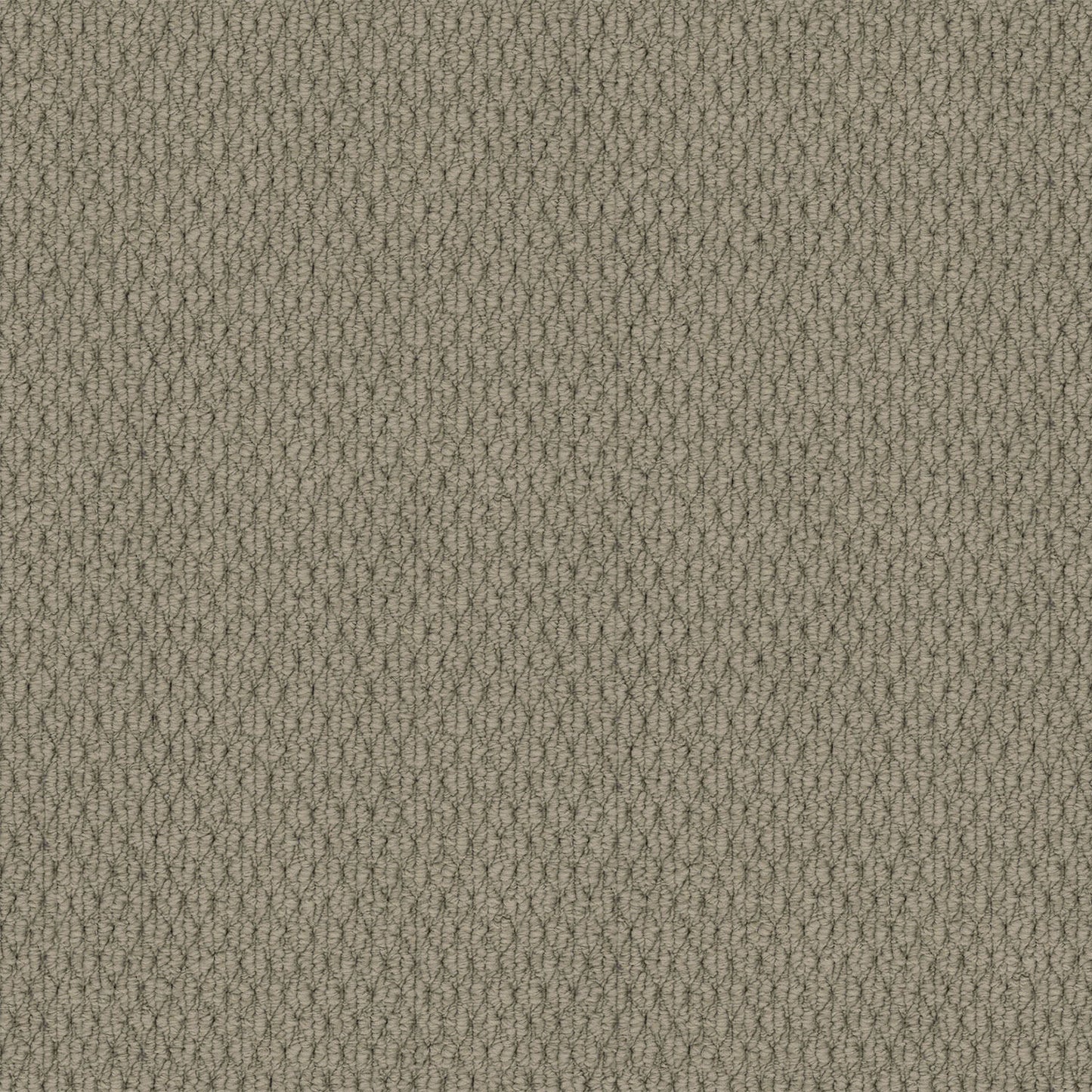 Kashmir carpet in Wood Ash
