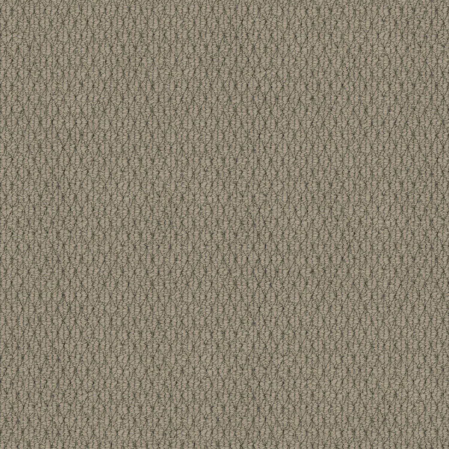 Kashmir carpet in Wood Ash