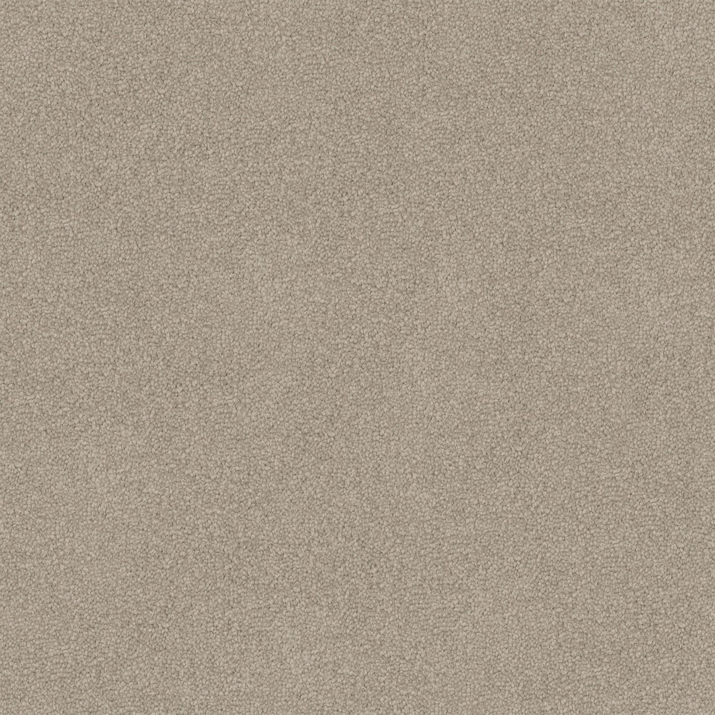 Infatuation carpet in Aged Suede