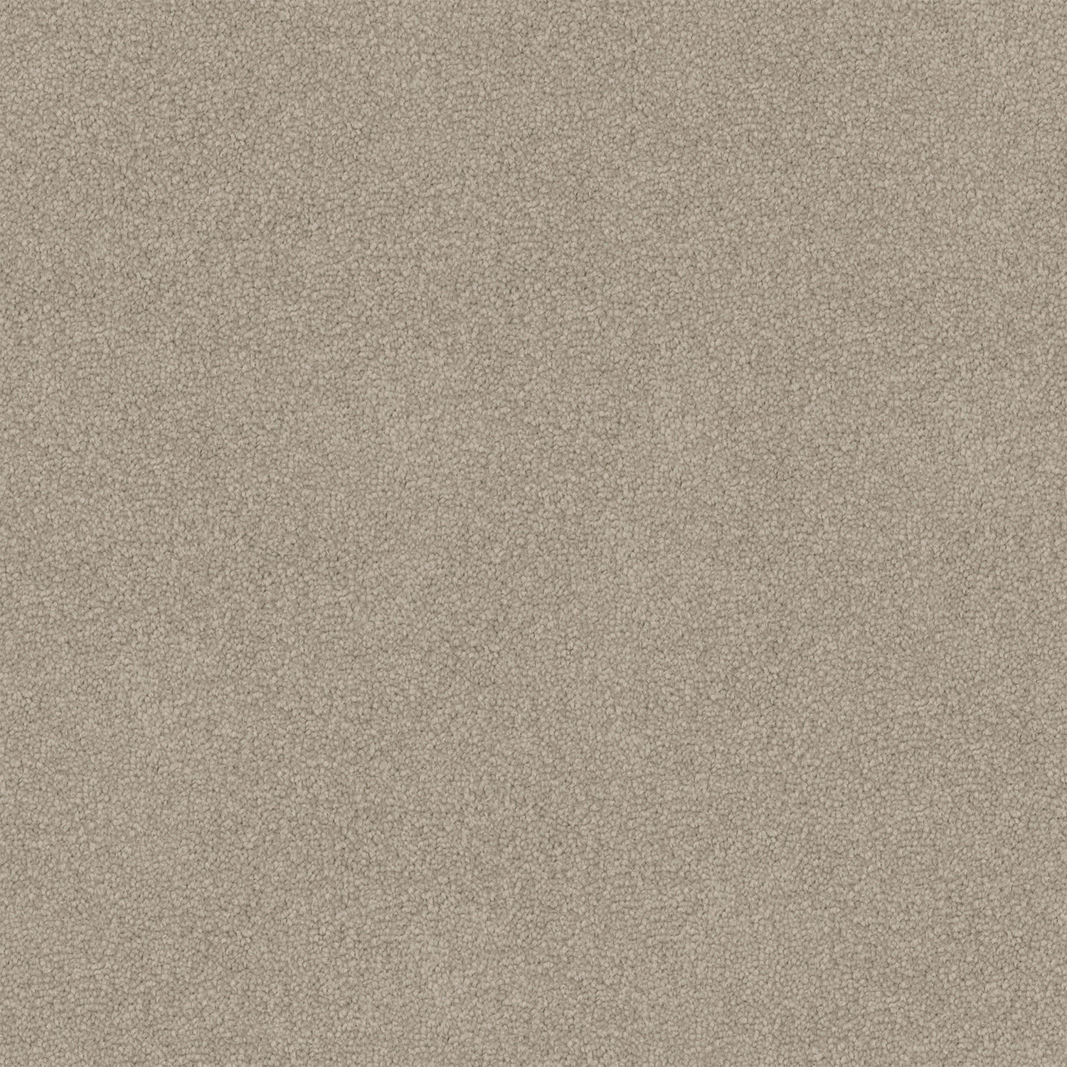 Infatuation carpet in Aged Suede