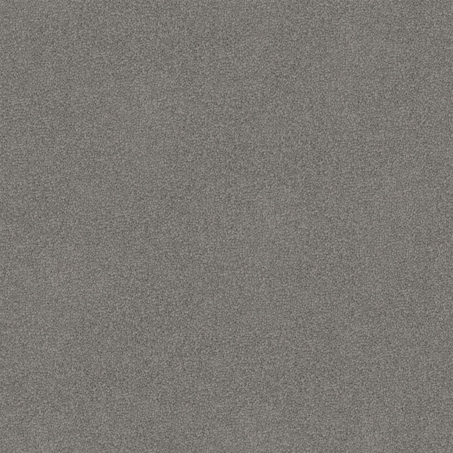 Infatuation carpet in Grey Pebble