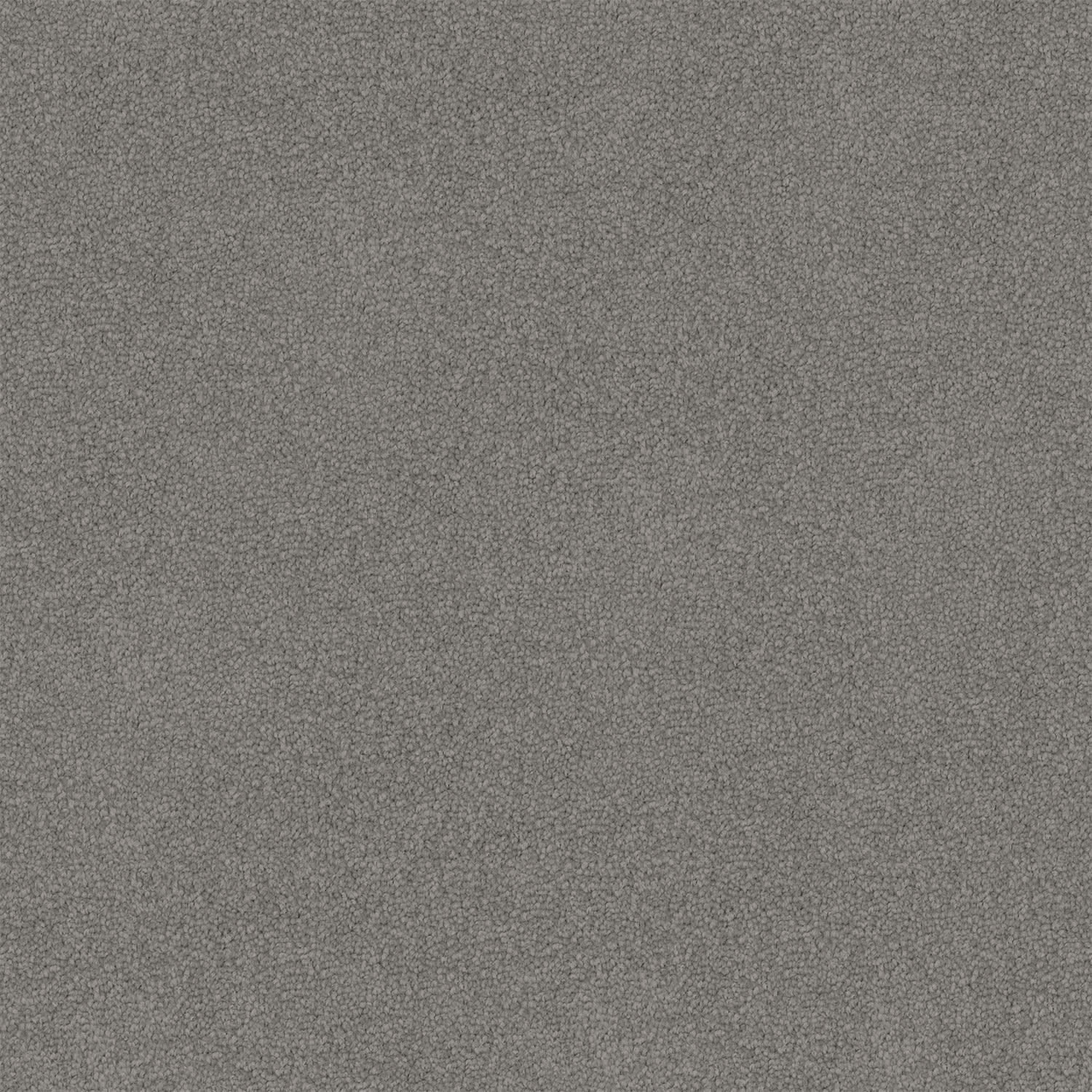 Infatuation carpet in Grey Pebble