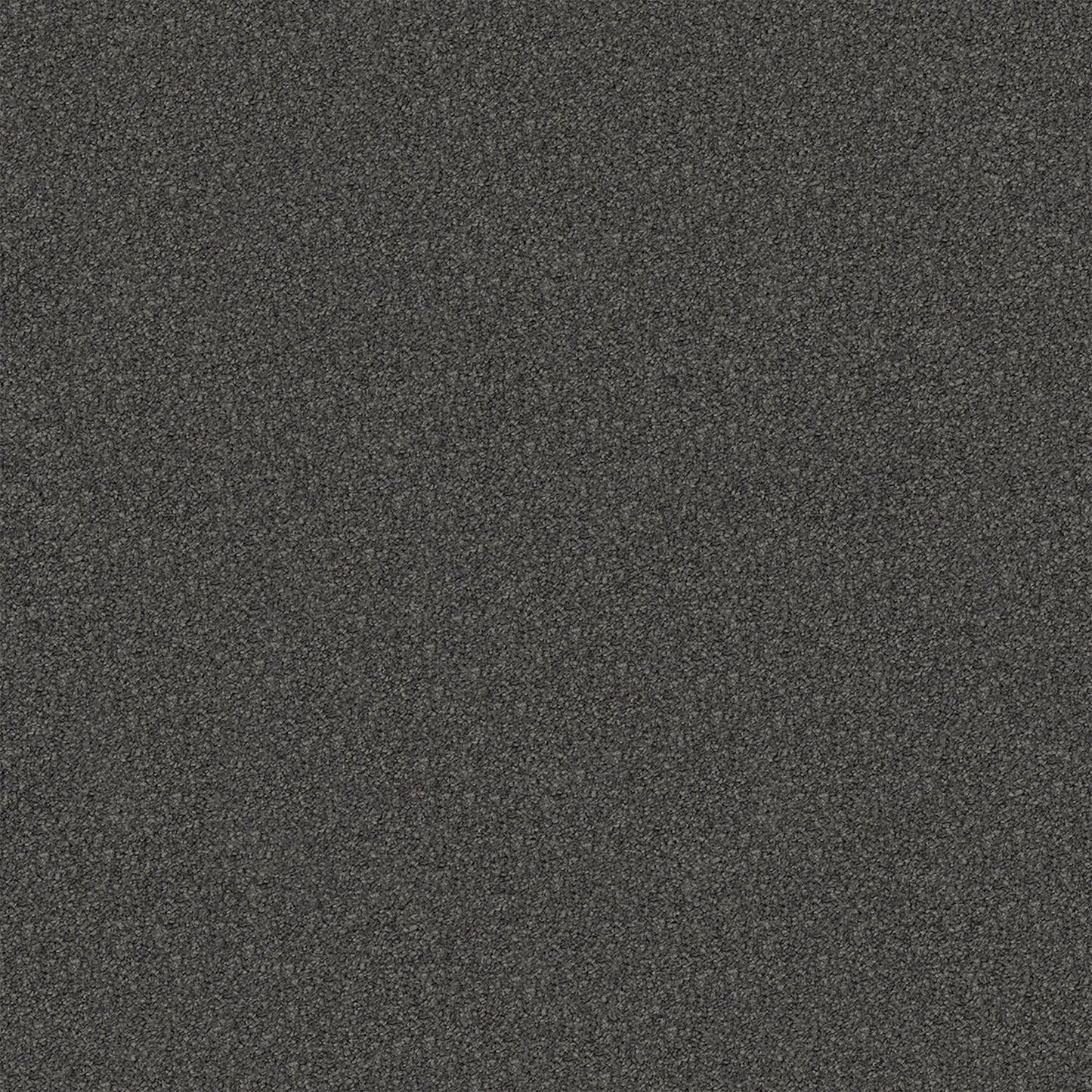 Regal Elegance carpet in Ashwood