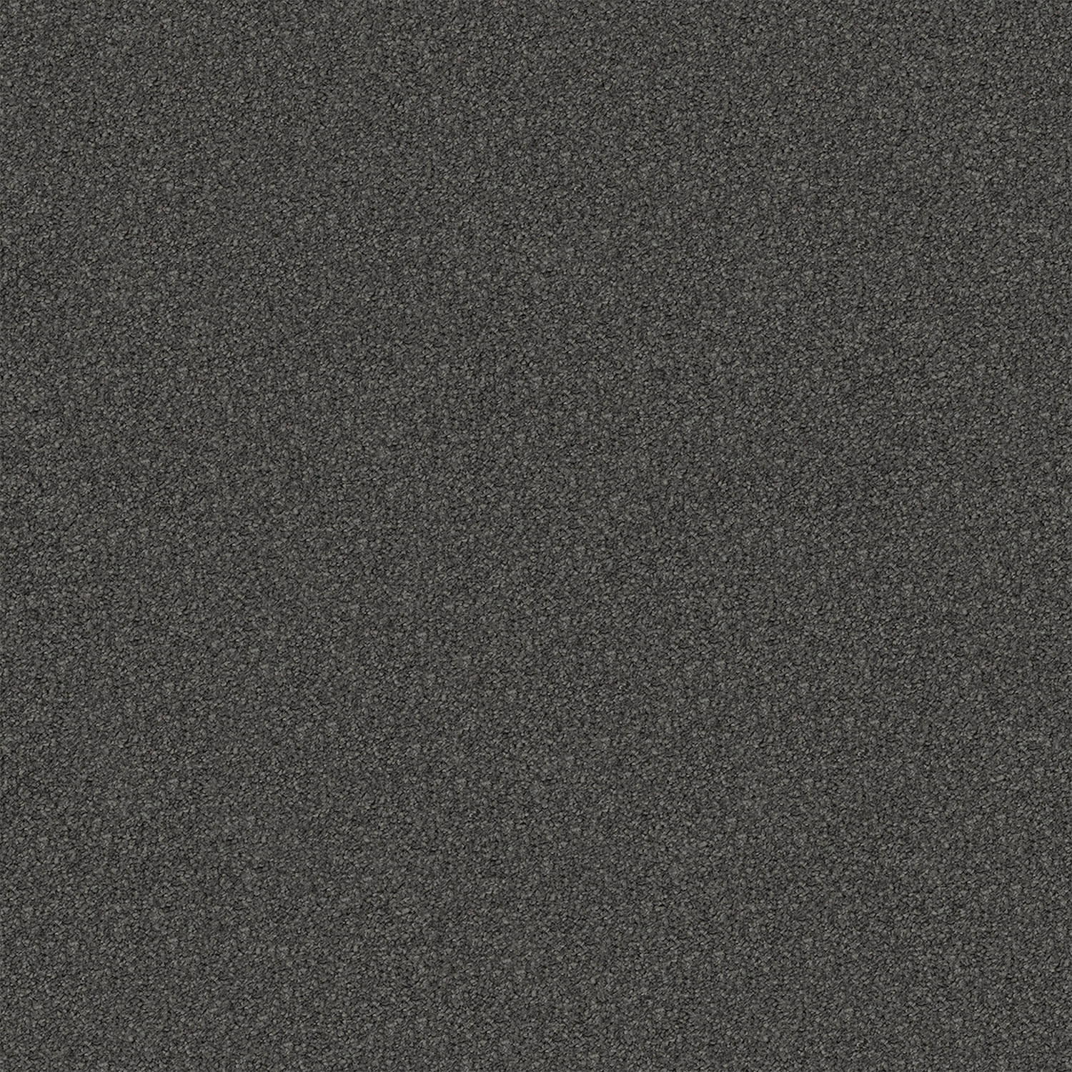 Regal Elegance carpet in Ashwood