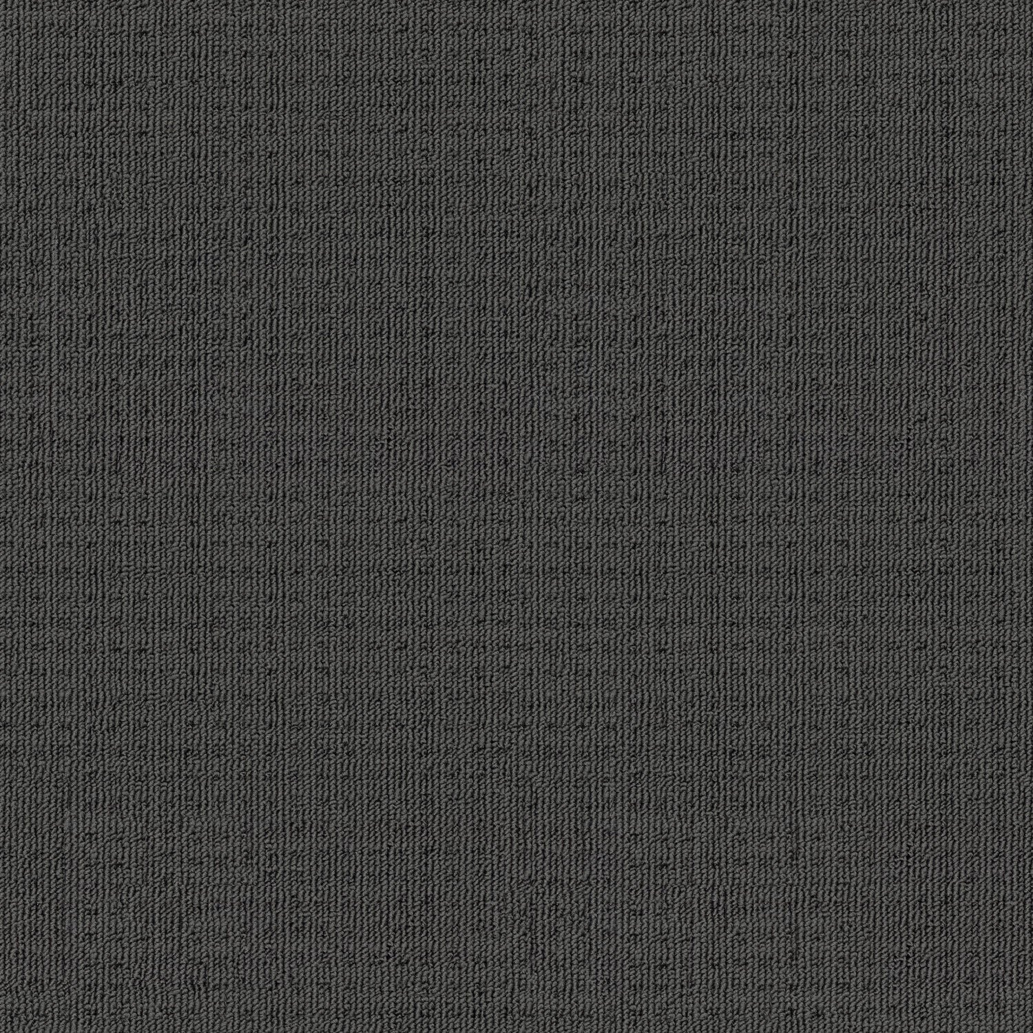 Genesis carpet in Quarry