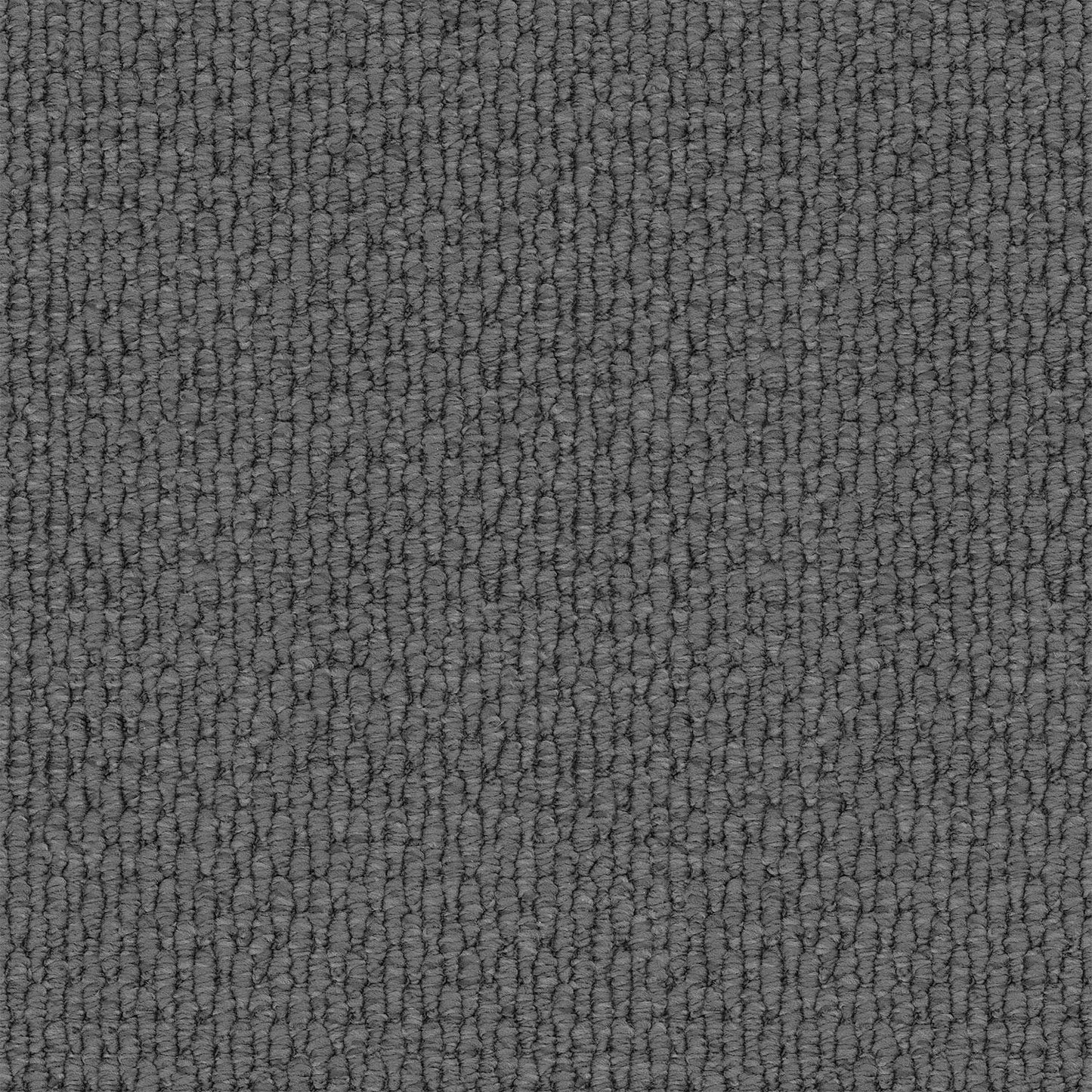 Central Valley carpet in Coal Dust