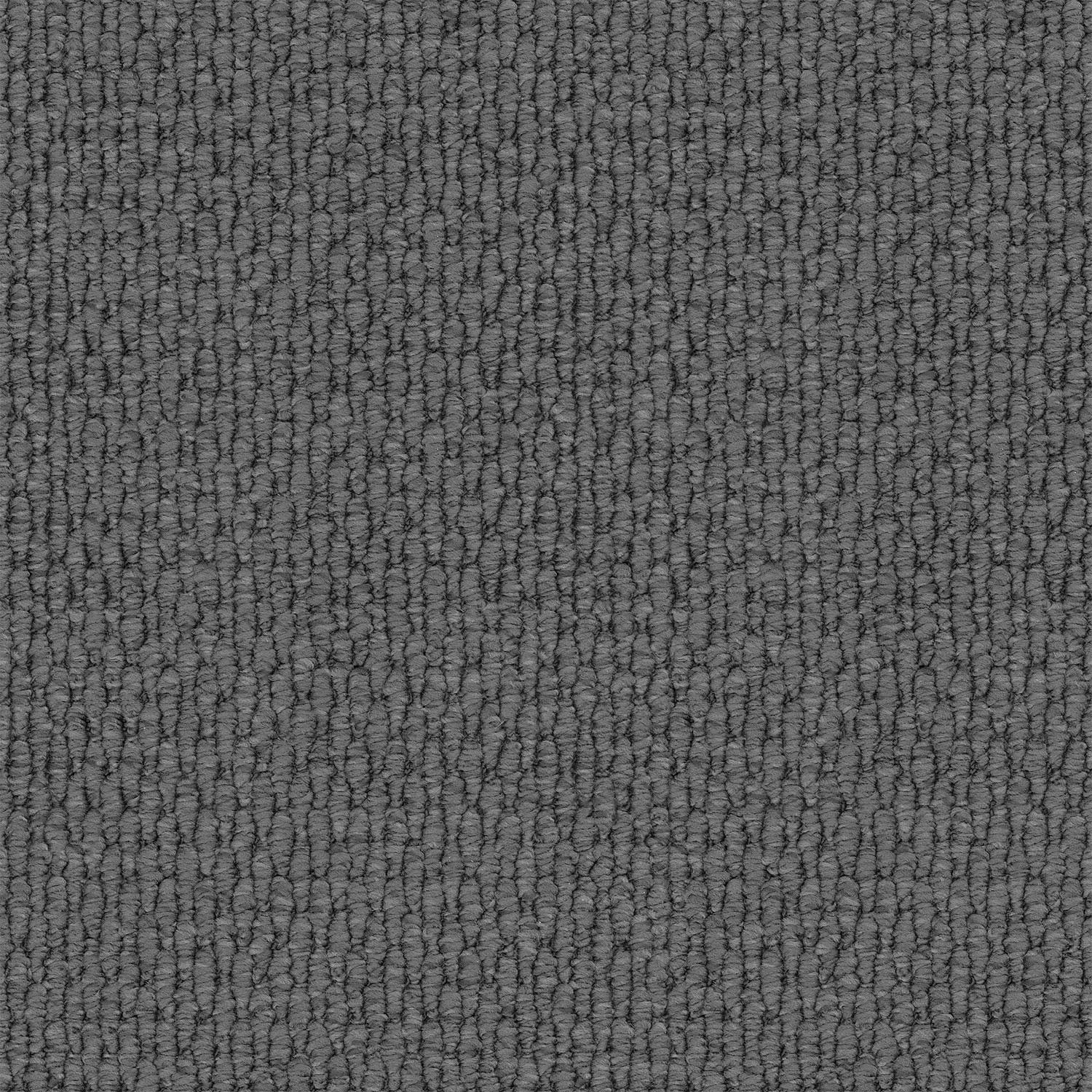 Central Valley carpet in Coal Dust
