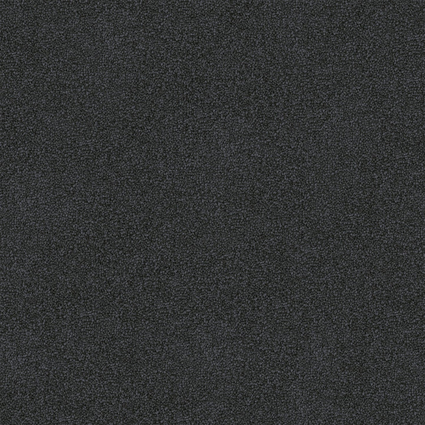 Freedom carpet in Deep Blue