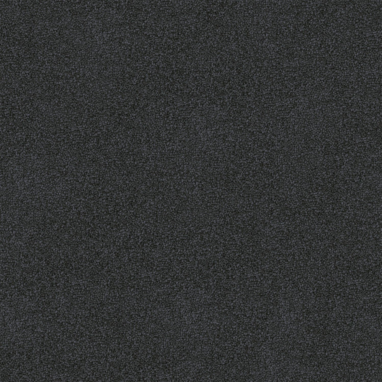 Freedom carpet in Deep Blue