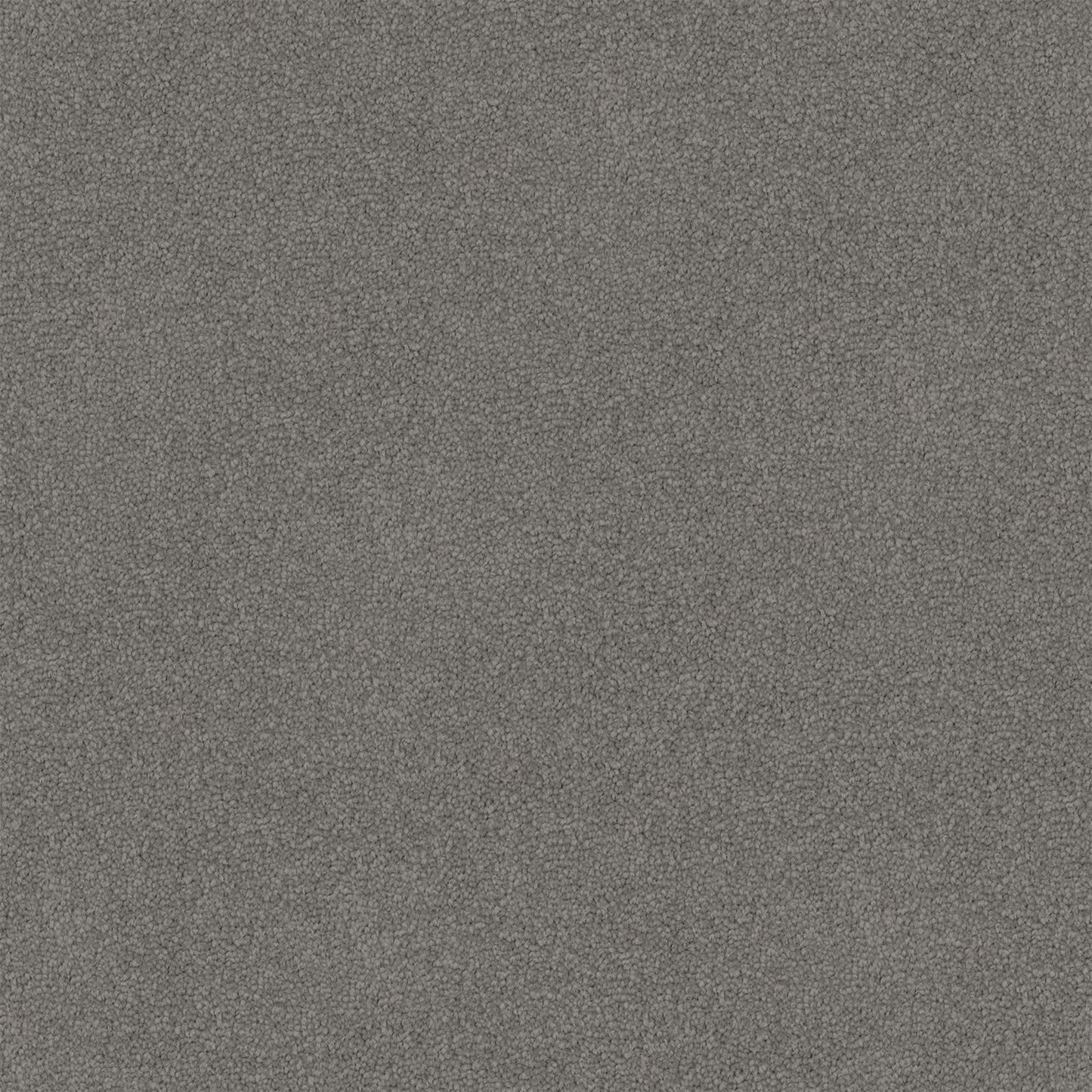 Nightfall carpet in Forge