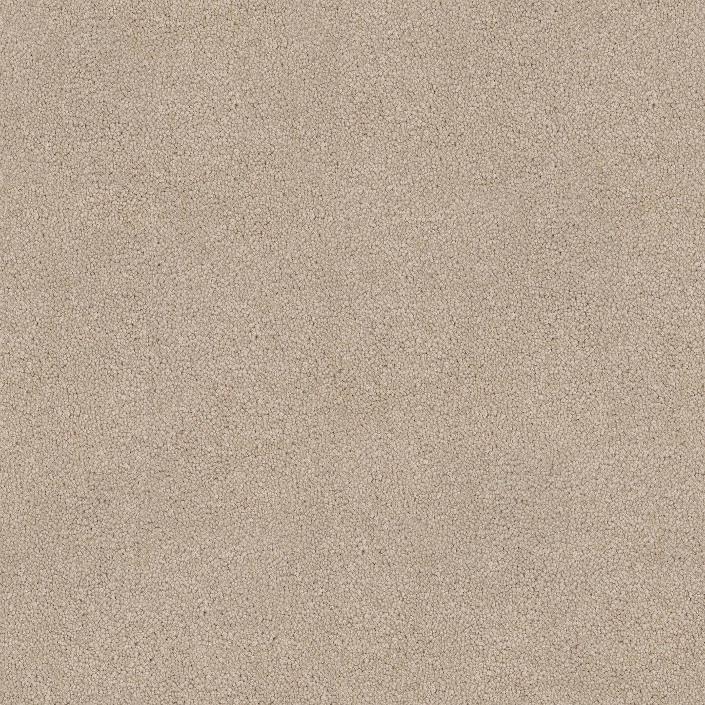 Barossa carpet in Shell