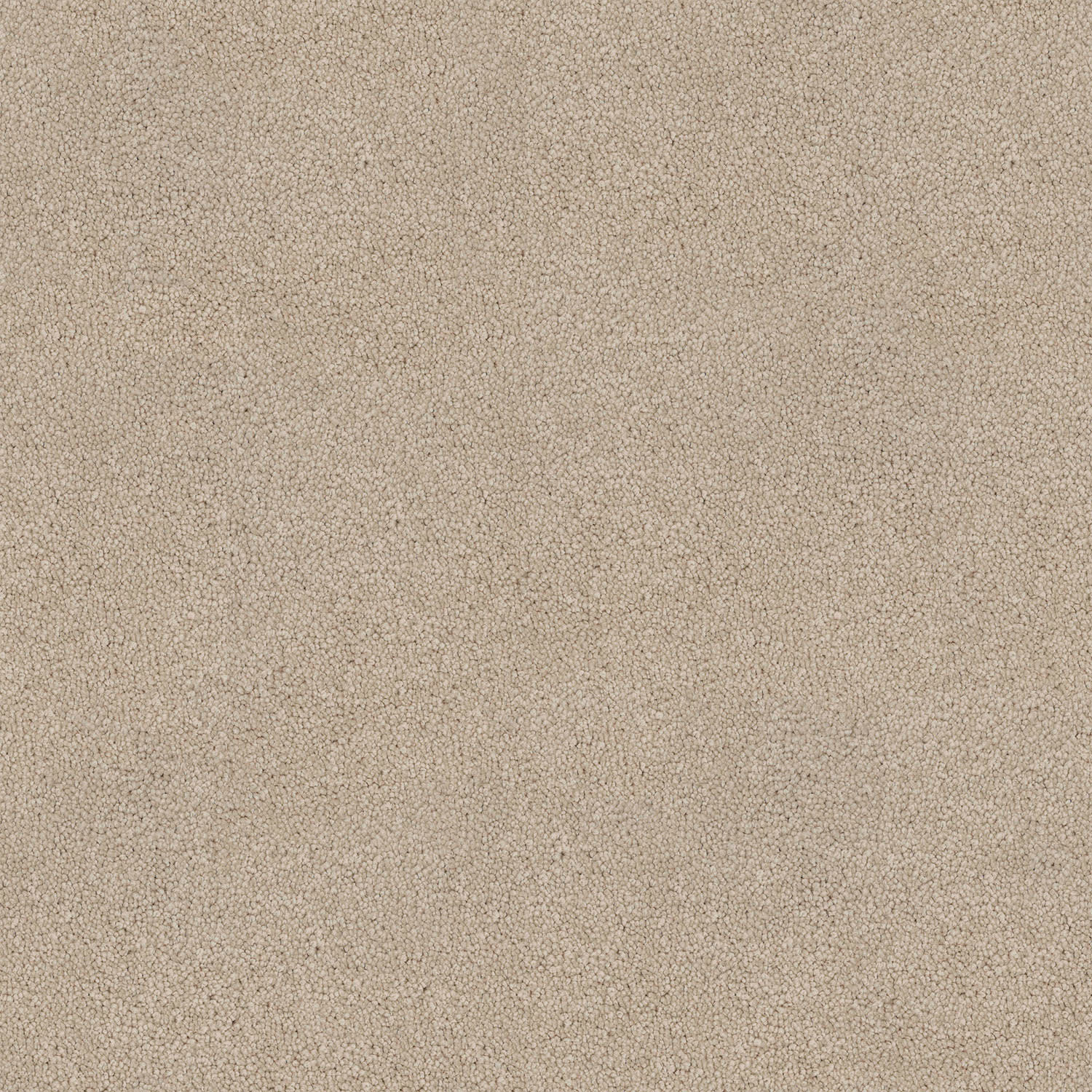 Barossa carpet in Shell
