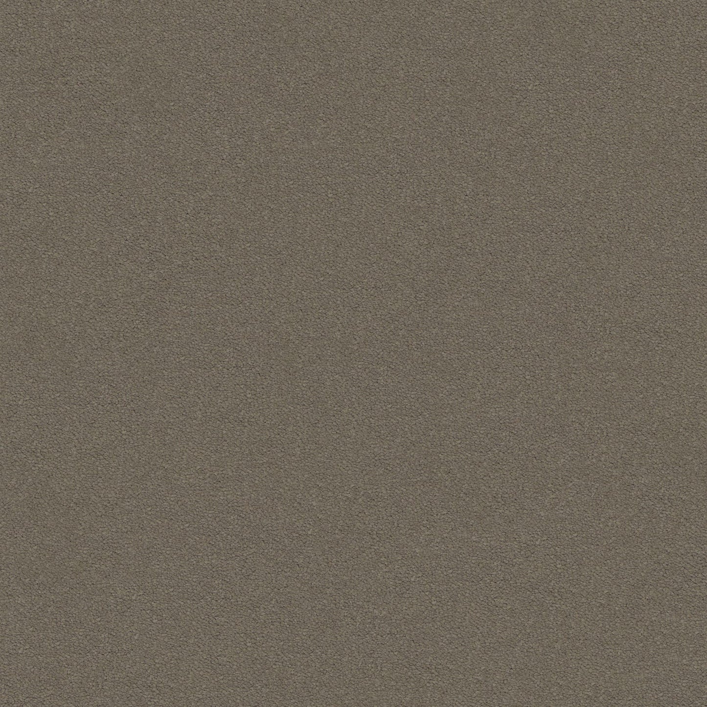 Dream Shadows carpet in Nutmeg