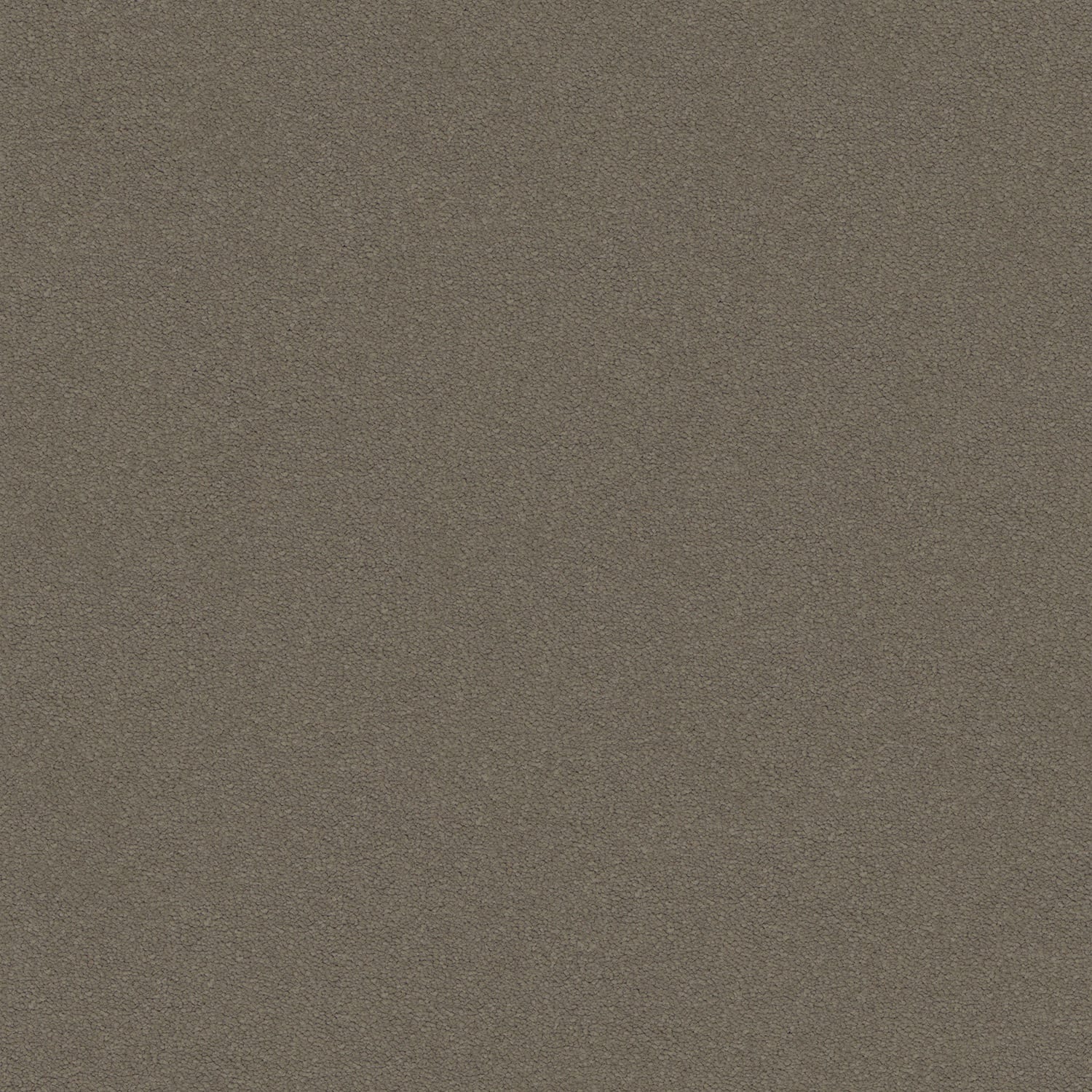 Dream Shadows carpet in Nutmeg